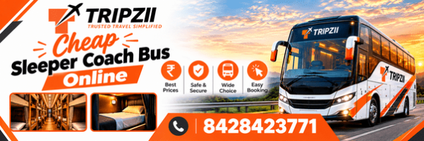 Cheap Sleeper Coach Bus Online | Call us +91 8428423771 | Tripzii