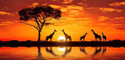 Kenya