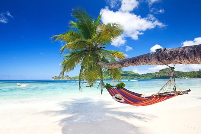 Vibe In Seychelles