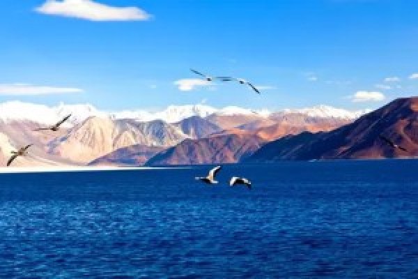 Get up to 35% off on Domestic Flights